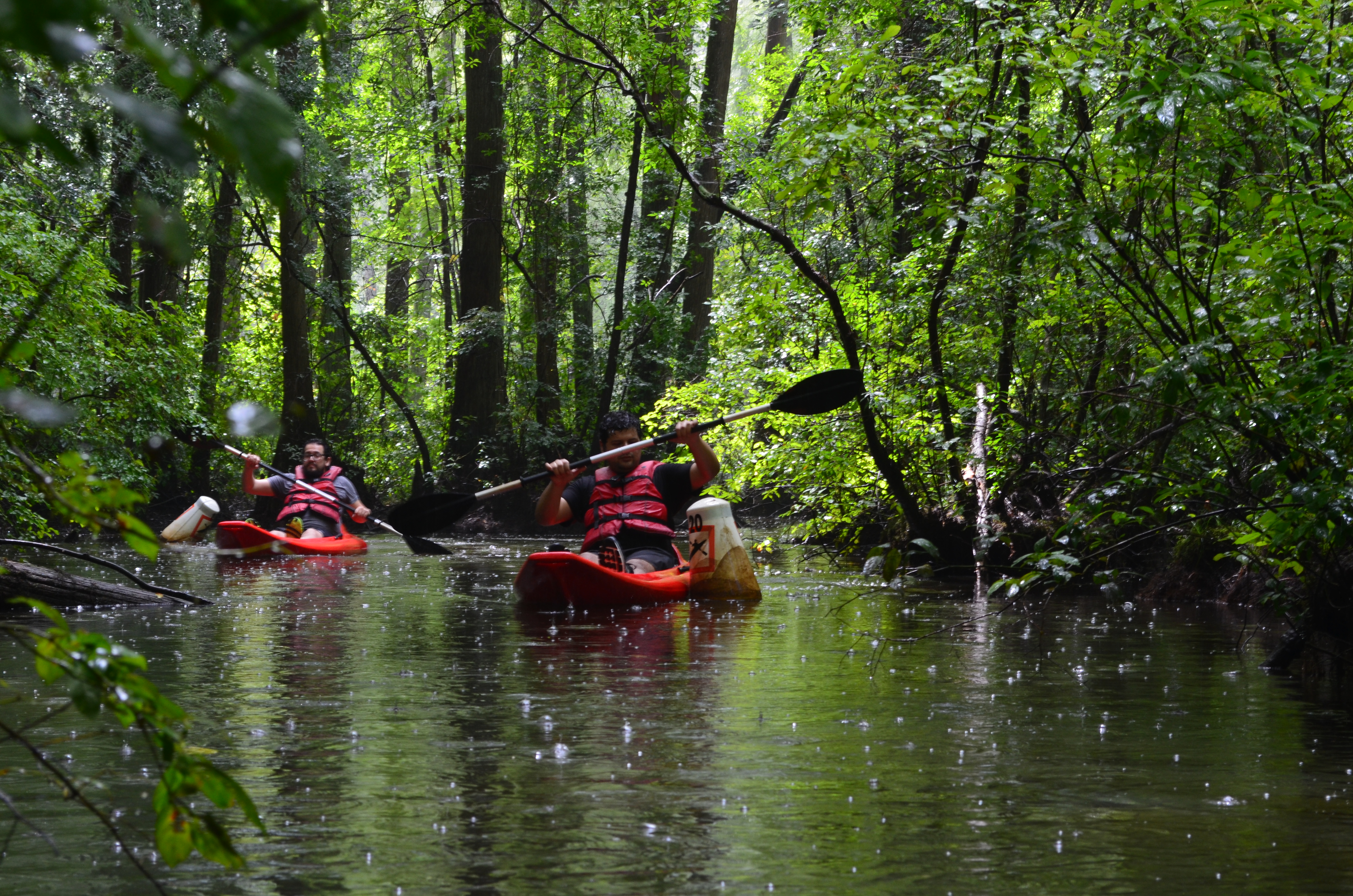 ./2017/13 - Roberson Millpond Preserve/DSC_0583.JPG